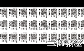 百乐博A-1喷码平台一体机Technical Parameters